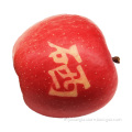 Bulk fresh apple fruit for sale 2019 new crop red fuji fruits apples